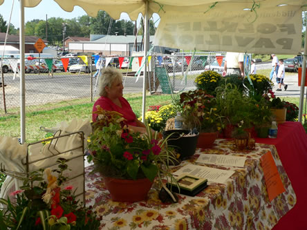 Images/hiddcele07 140.jpg